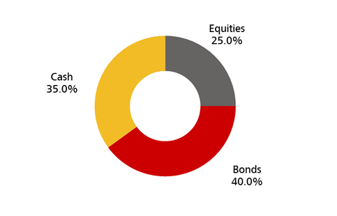 Balanced Portfolio | DBS Bank Indonesia